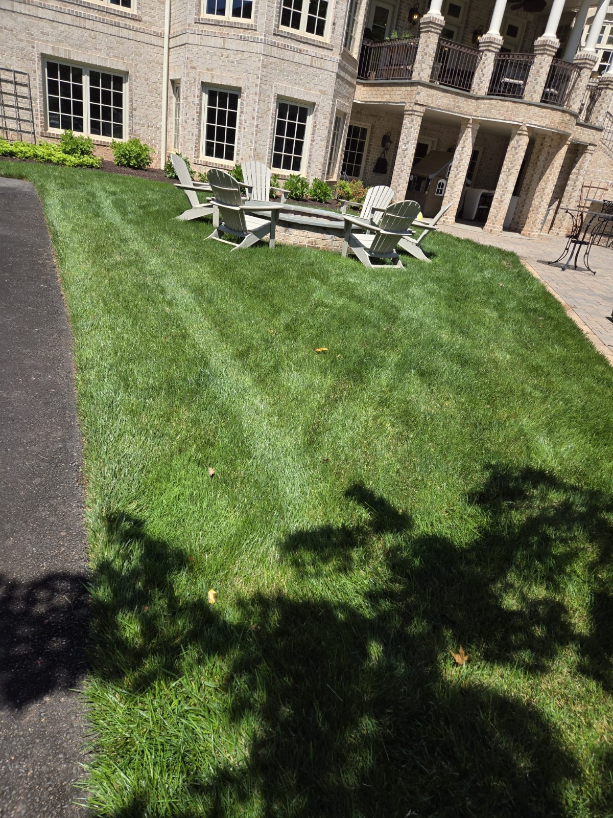 QualiGreen lawn care project 2