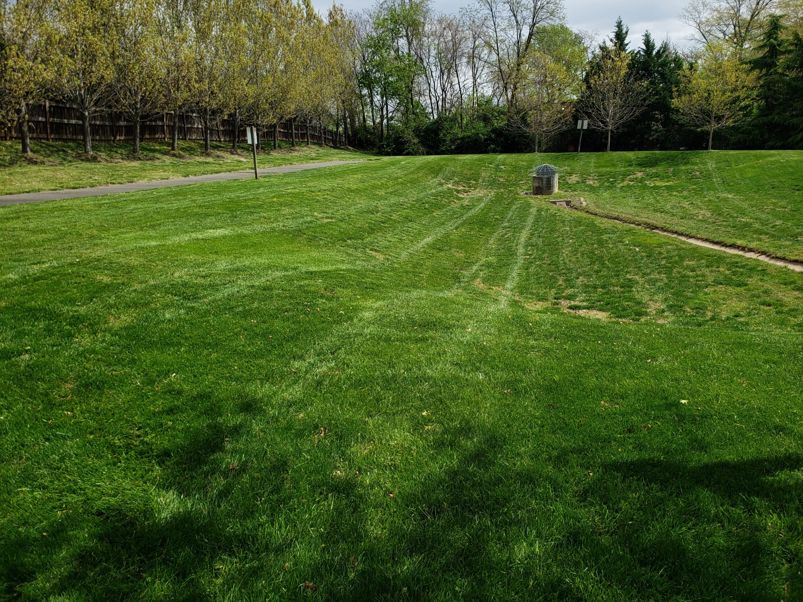 QualiGreen lawn care project 4