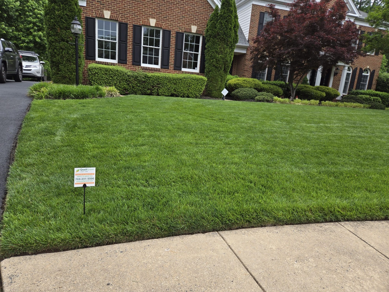 QualiGreen lawn care project 7