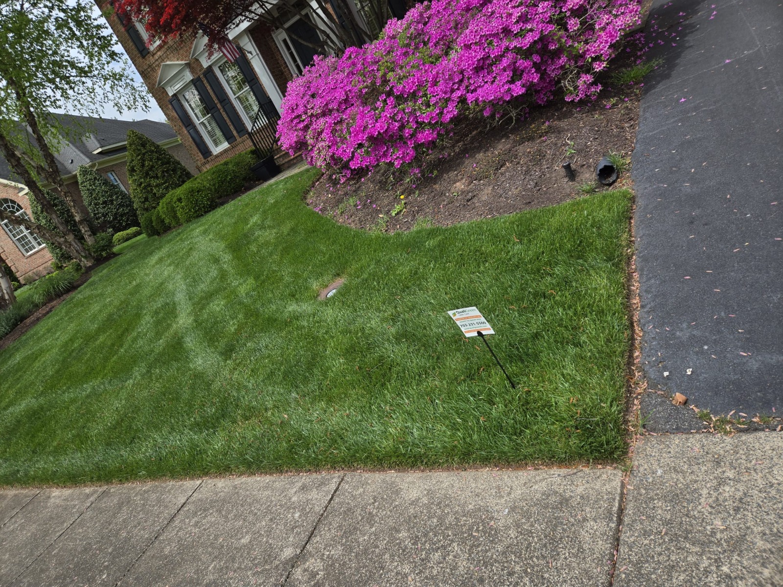 QualiGreen lawn care project 8