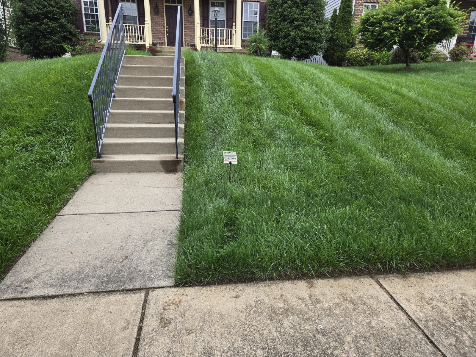 QualiGreen lawn care project 9