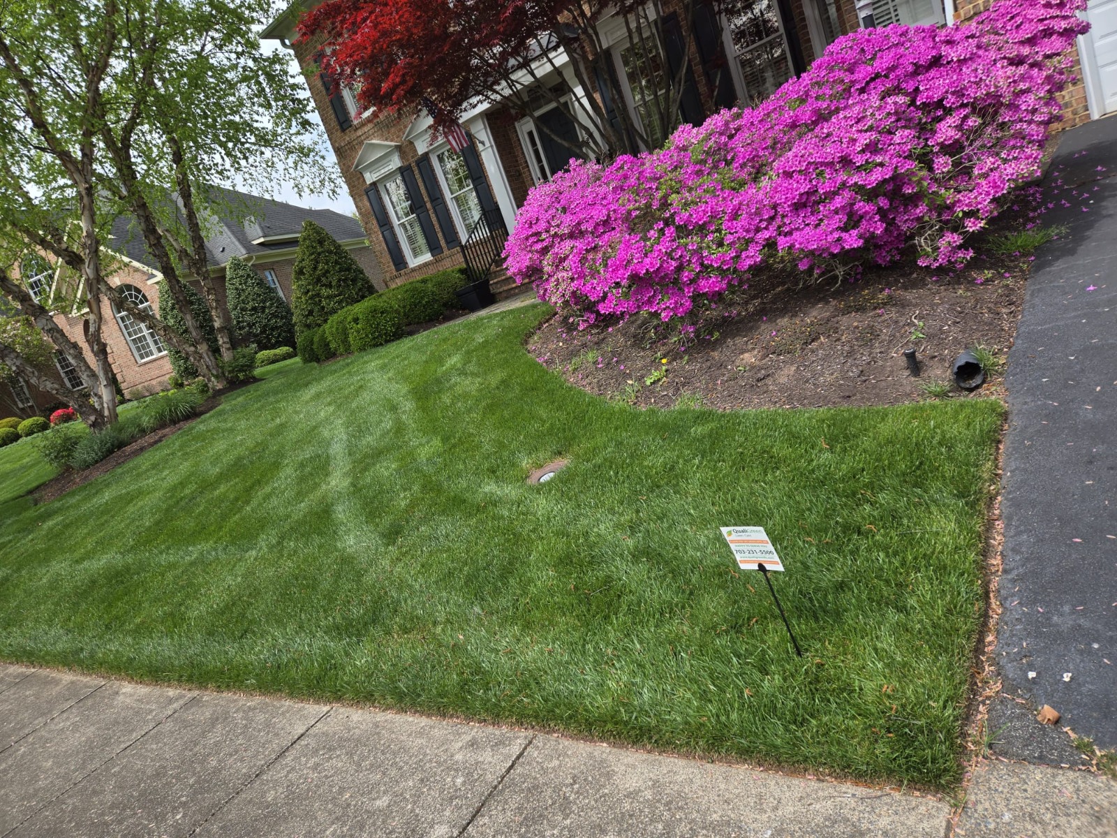 Grubs, Ticks, and Mosquitoes: Protecting Your Yard All Season
