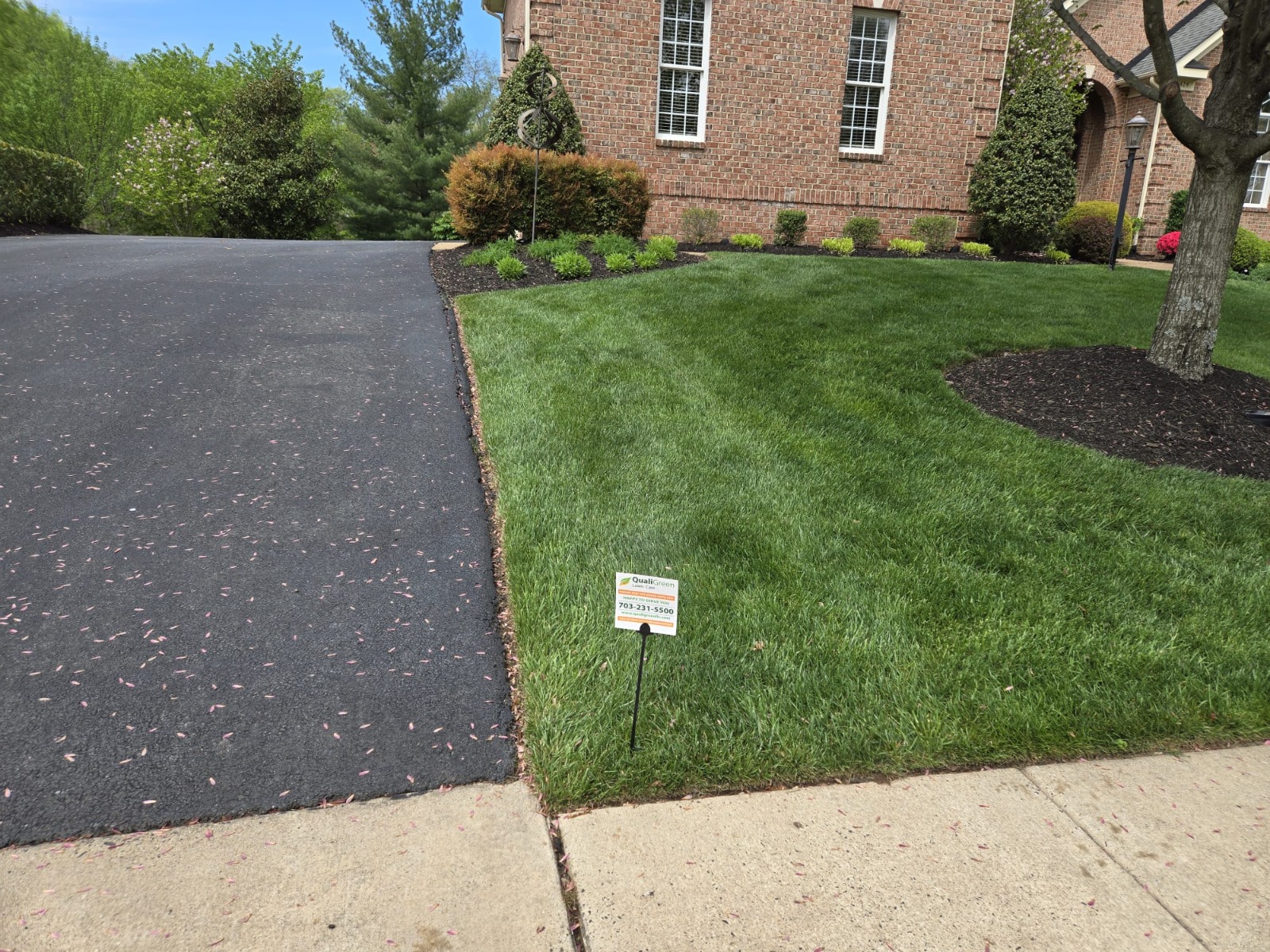 QualiGreen lawn care project 12