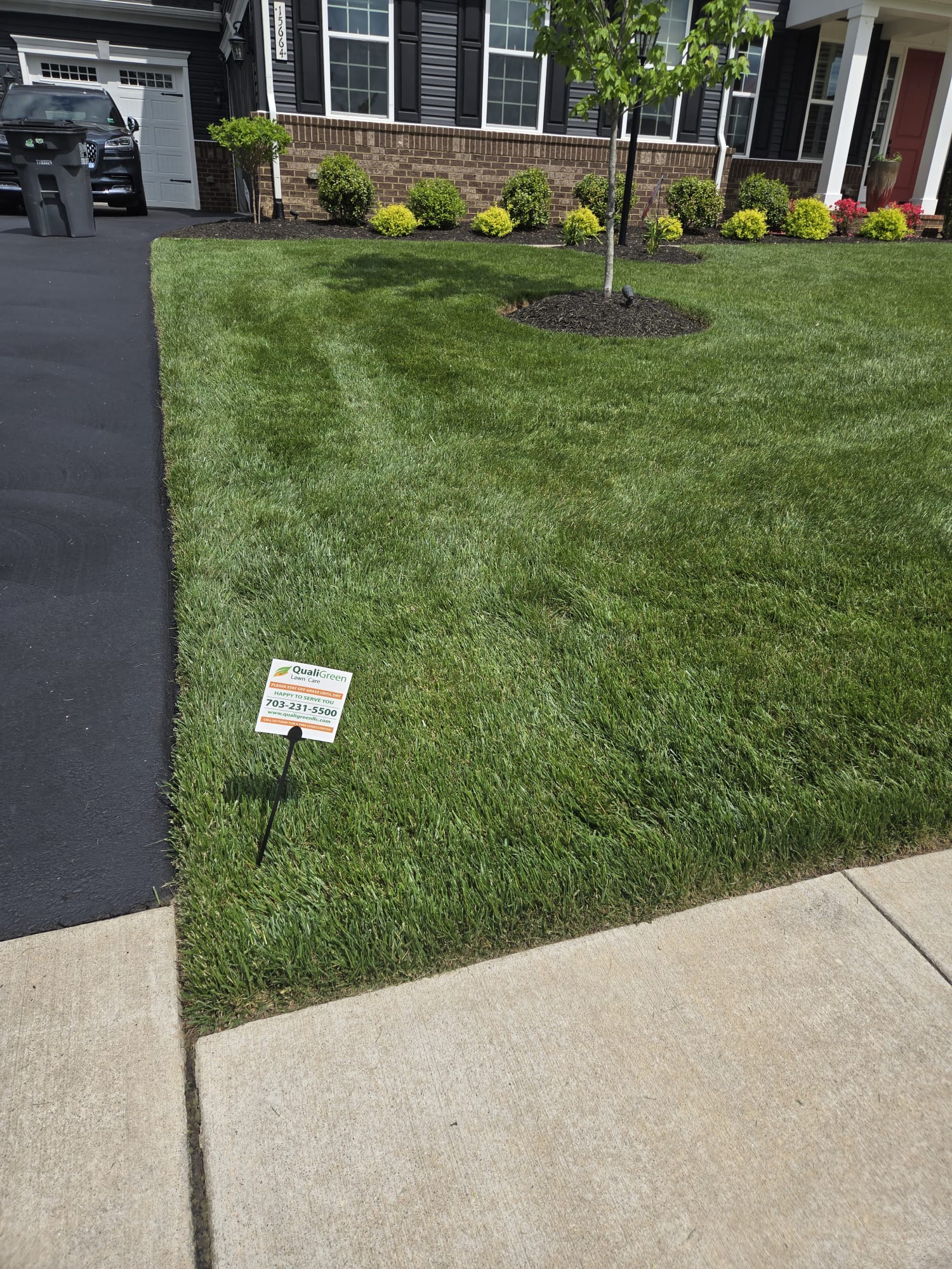 QualiGreen lawn care project 15