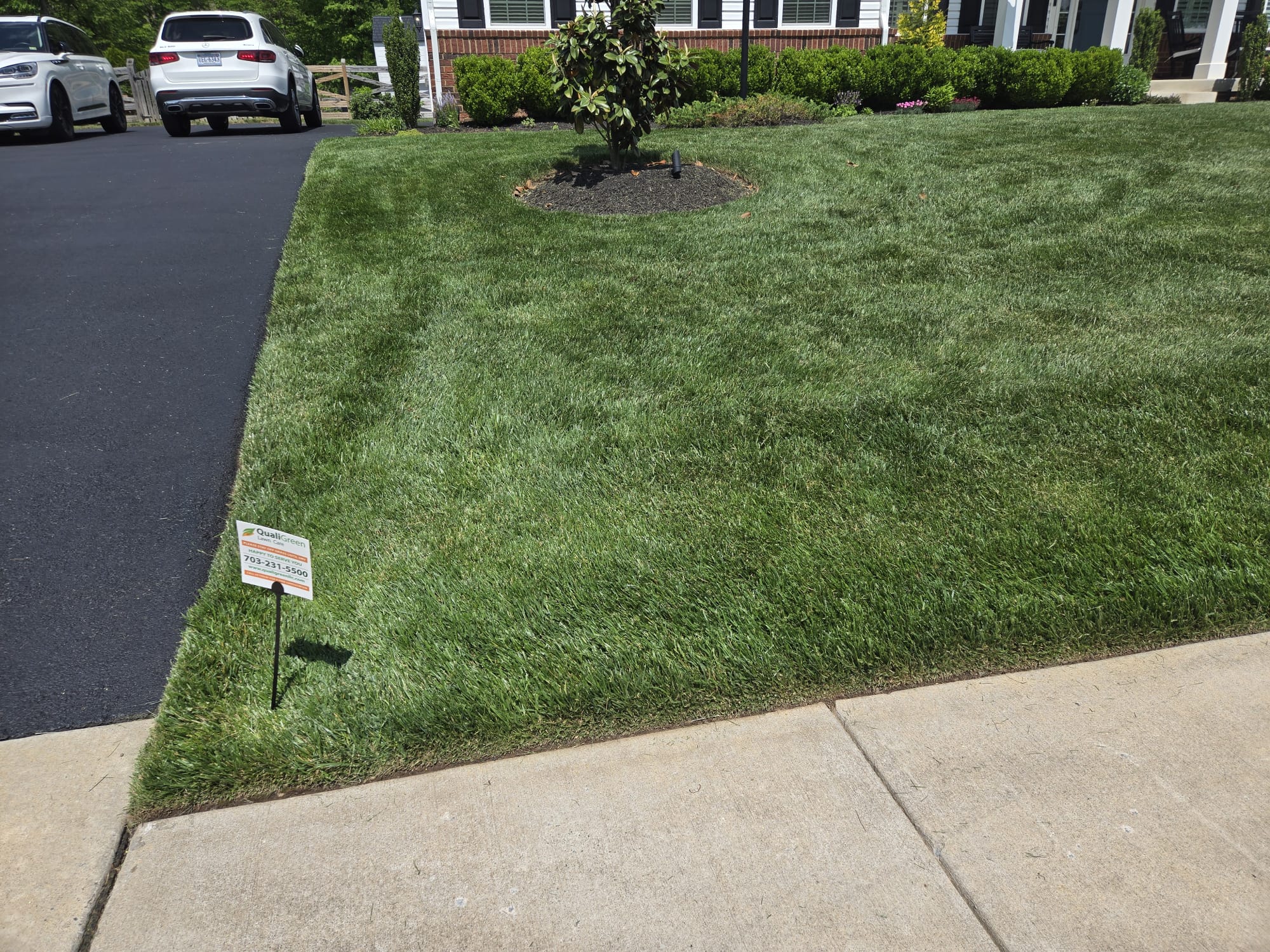 QualiGreen lawn care project 16