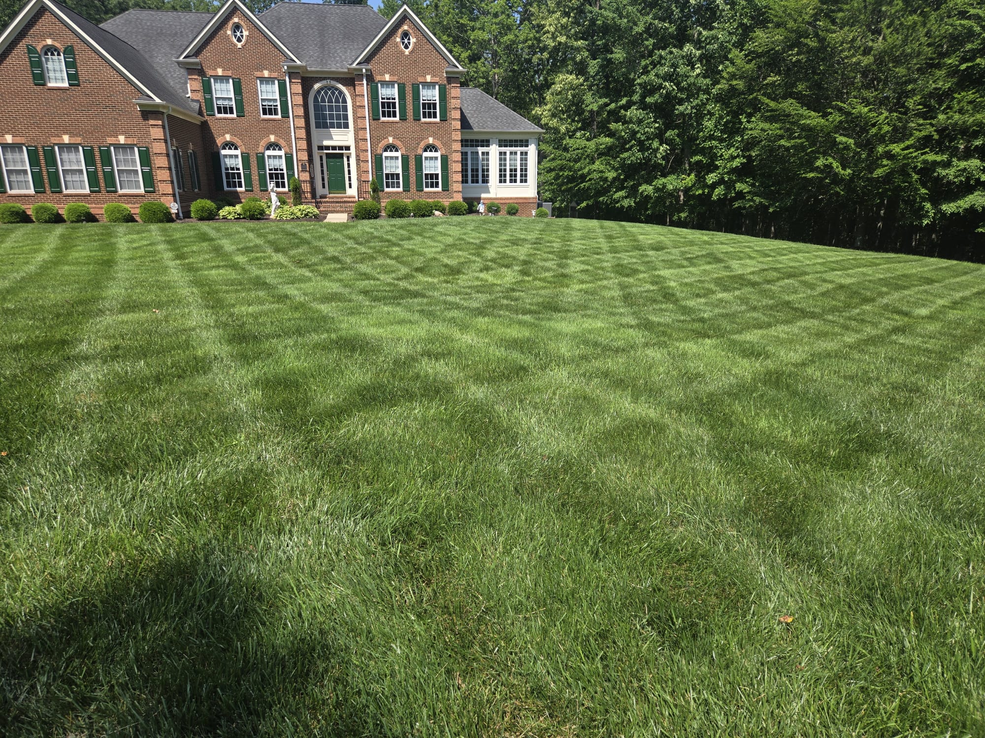 QualiGreen lawn care project 17