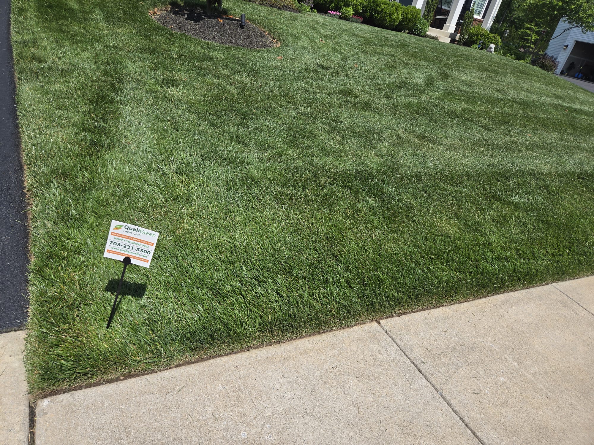 QualiGreen lawn care project 18