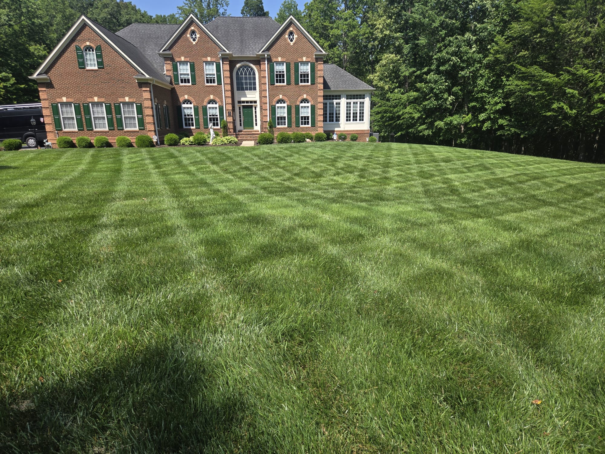 QualiGreen lawn care project 19