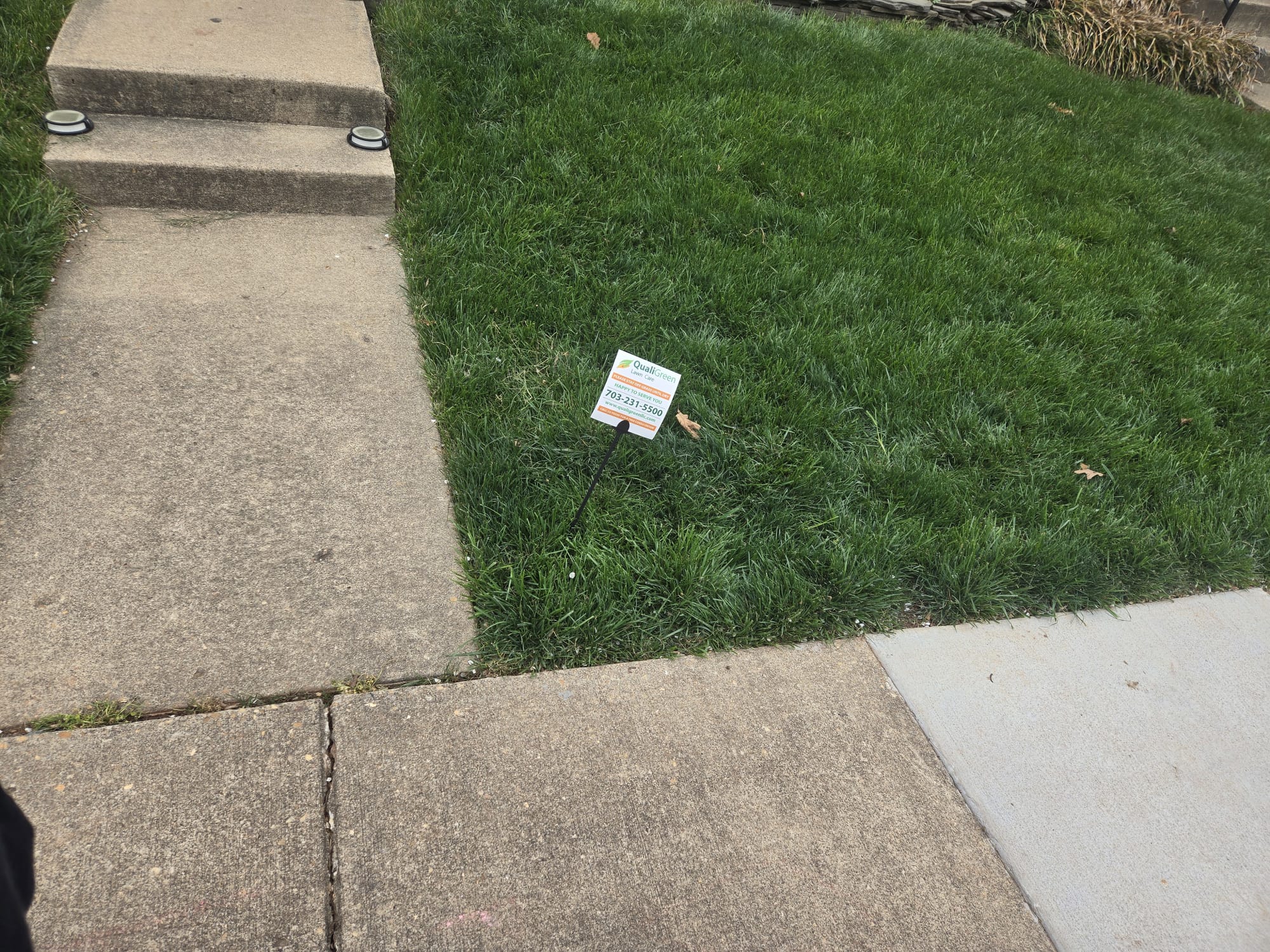 QualiGreen lawn care project 20