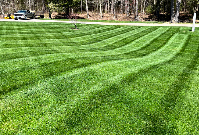 QualiGreen lawn care project 21