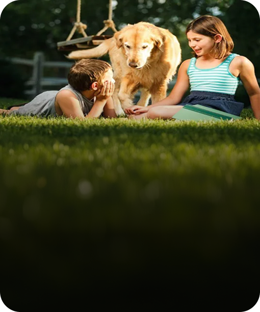 Flea & Tick Control
